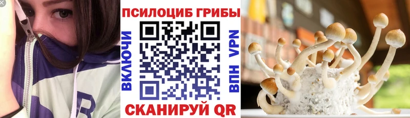 наркотики  KRAKEN tor  Галлюциногенные грибы Psilocybe  Адыгейск 